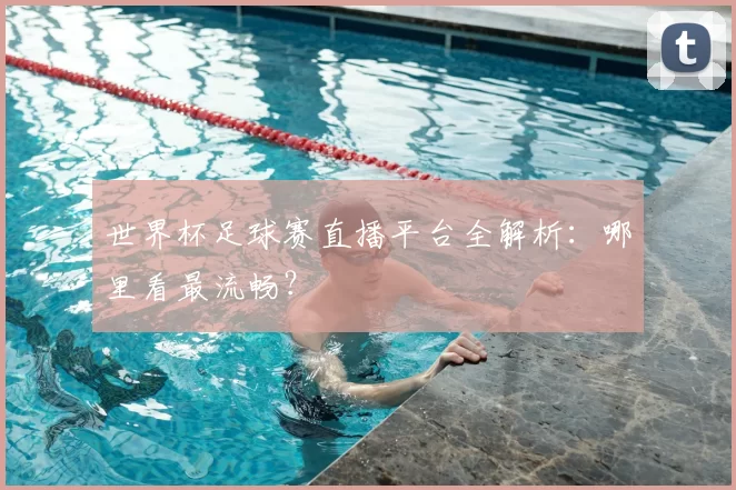 世界杯足球赛直播平台全解析：哪里看最流畅？