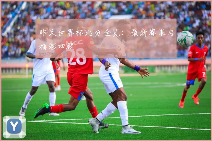昨天世界杯比分全览：最新赛果与精彩回顾