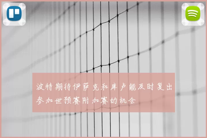 波特期待伊萨克和库卢能及时复出参加世预赛附加赛的机会