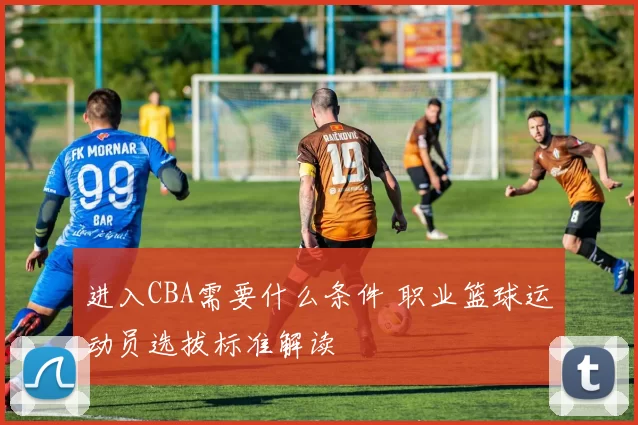 进入CBA需要什么条件 职业篮球运动员选拔标准解读