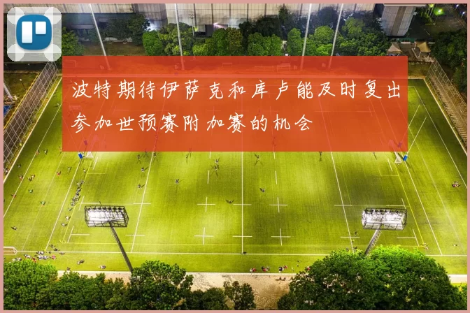 波特期待伊萨克和库卢能及时复出参加世预赛附加赛的机会