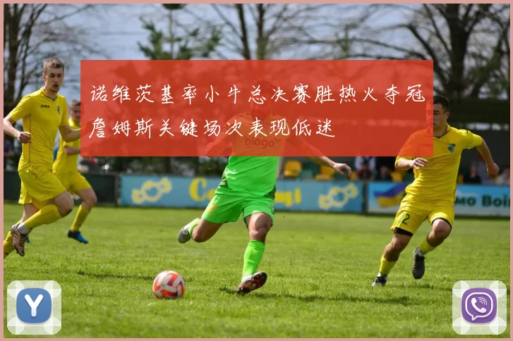 诺维茨基率小牛总决赛胜热火夺冠詹姆斯关键场次表现低迷