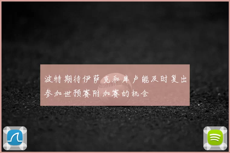 波特期待伊萨克和库卢能及时复出参加世预赛附加赛的机会
