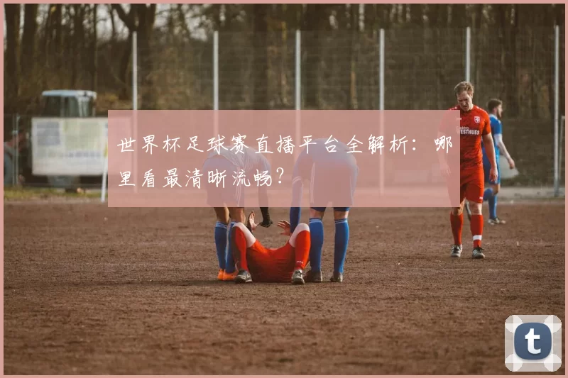 世界杯足球赛直播平台全解析:哪里看最清晰流畅?
