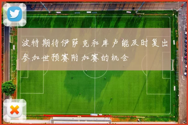 波特期待伊萨克和库卢能及时复出参加世预赛附加赛的机会