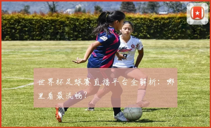 世界杯足球赛直播平台全解析:哪里看最流畅?
