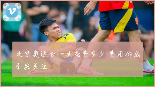 北京奥运会一共花费多少 费用构成引发关注