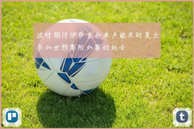 波特期待伊萨克和库卢能及时复出参加世预赛附加赛的机会