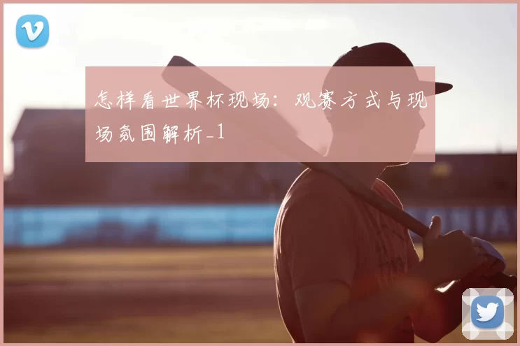 怎样看世界杯现场:观赛方式与现场氛围解析_1