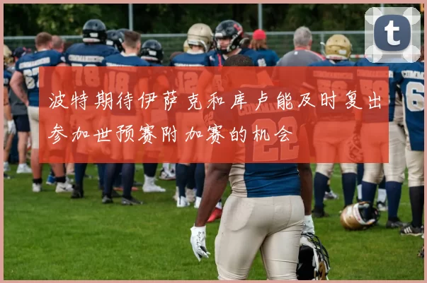 波特期待伊萨克和库卢能及时复出参加世预赛附加赛的机会
