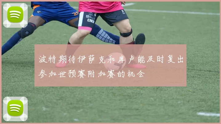 波特期待伊萨克和库卢能及时复出参加世预赛附加赛的机会