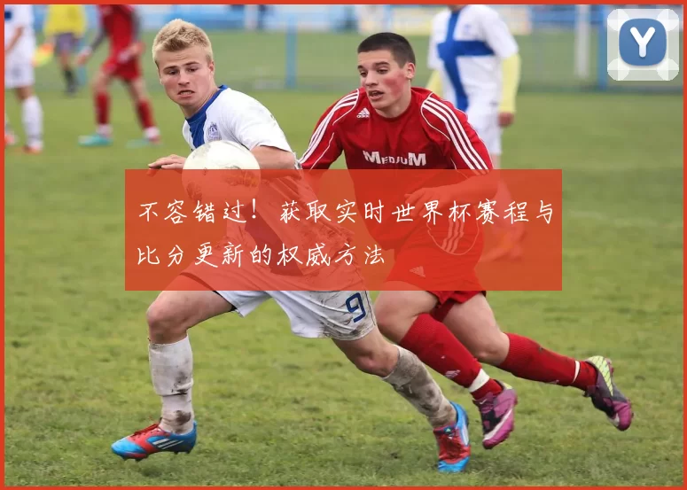 不容错过！获取实时世界杯赛程与比分更新的权威方法